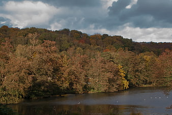 Autumn landscape with forest and lake under cloudy sky