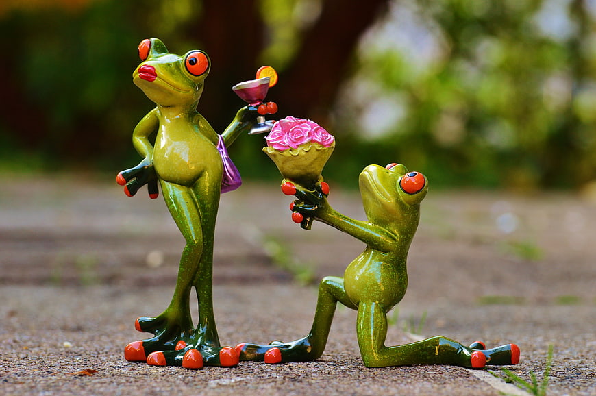 Cute Green Frog Figurines Proposing With Roses And Cocktail