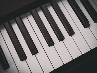 Close-up of Piano Keys in Black and White