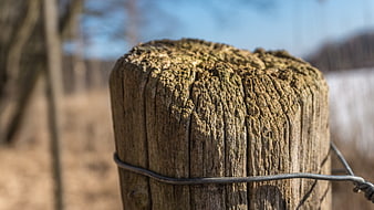 Close-up of weathered wooden fence post with wire