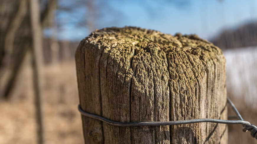 Close-up of weathered wooden fence post with wire