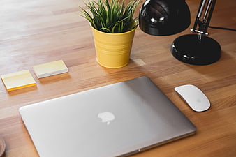 Modern Workspace with Laptop, Plant, and Desk Accessories