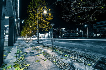 Empty Urban Street at Night with Cobblestone Sidewalk