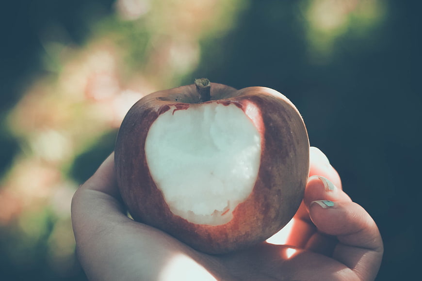 Hand holding bitten red apple outdoors
