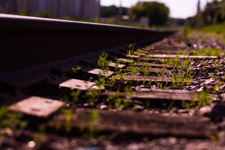 Close-up of overgrown railway tracks with weeds growing through wooden ties
