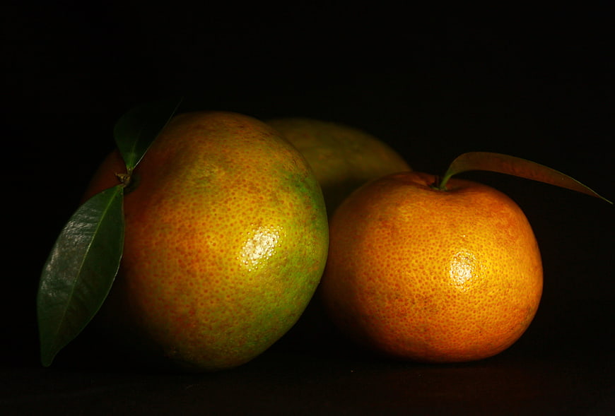 Fresh Oranges with Leaves on Dark Background