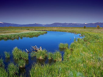Serene Blue Stream Winding Through Green Marshland with Mountains