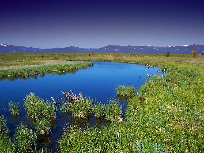 Serene Blue Stream Winding Through Green Marshland with Mountains