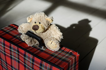 Cute teddy bear sitting on red plaid suitcase handle