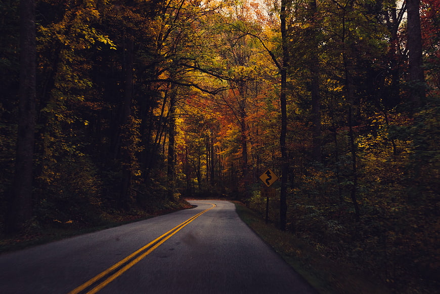 Winding autumn road through colorful forest with yellow leaves