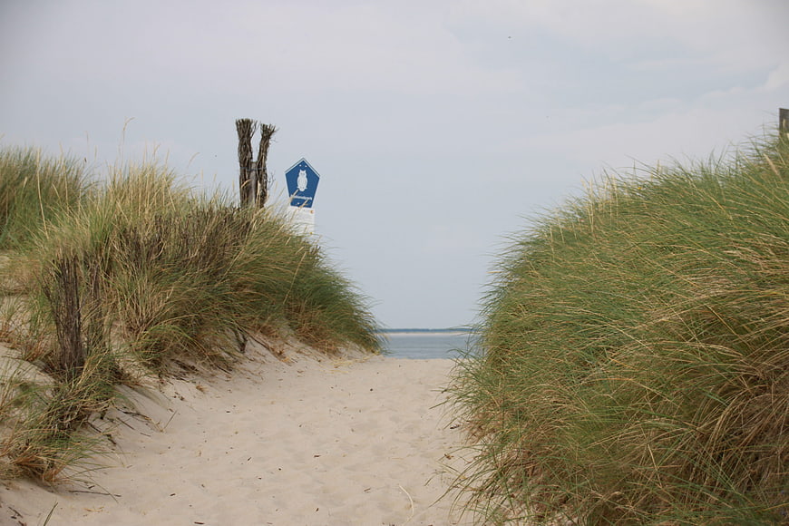 Sandy path through dunes to the North Sea coast