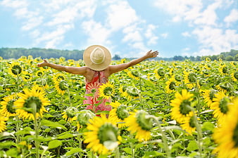 Woman with open arms in a vibrant summer sunflower field