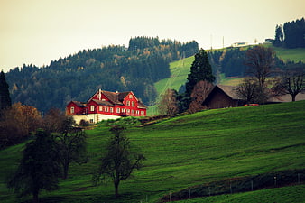 Red farmhouse on green hillside with forest background
