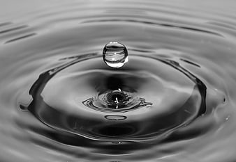 Black and white water droplet splash with ripples
