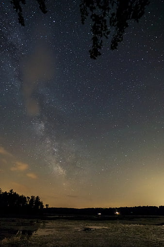 Milky Way Galaxy Over Dark Forest Landscape at Night
