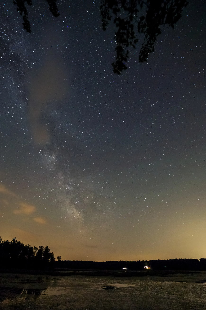 Milky Way Galaxy Over Dark Forest Landscape at Night