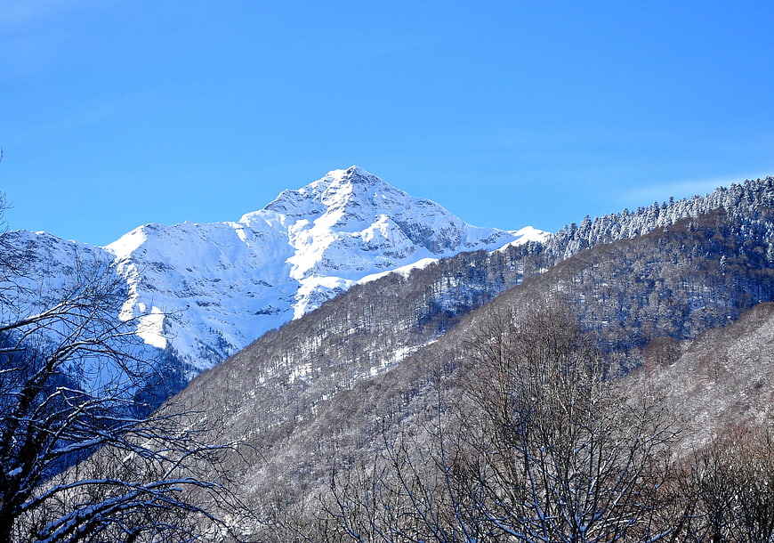 Snow-Capped Mountain Peak with Winter Forest Landscape