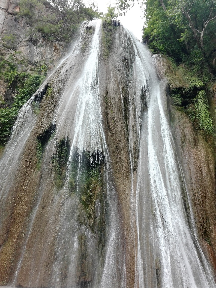 Waterfall cascading down rocky cliff in lush forest