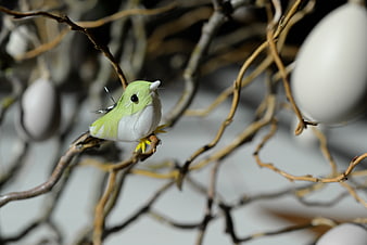 Handmade Easter Bird Craft on Branch with Eggs