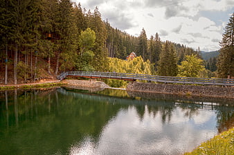 Wooden Bridge Over Calm River in Forest Landscape