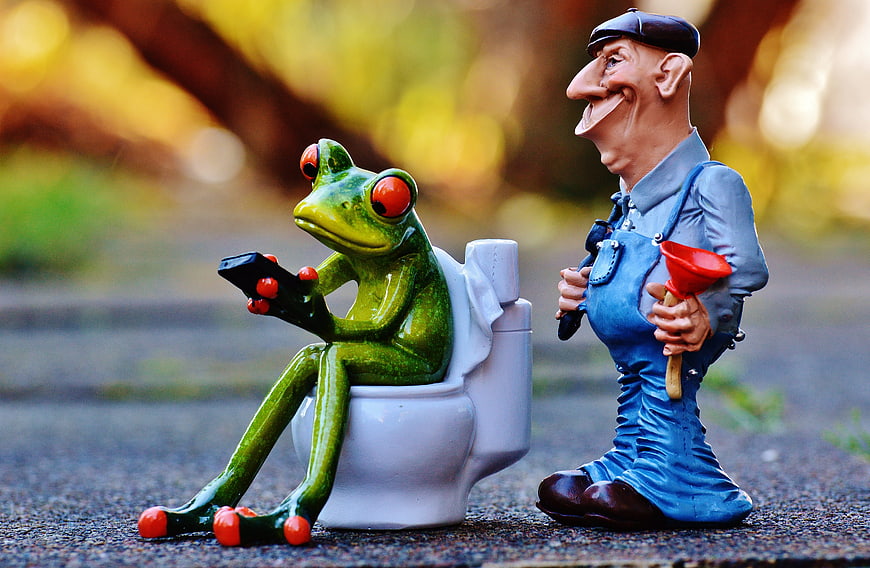 Funny frog figurine on toilet with plumber character