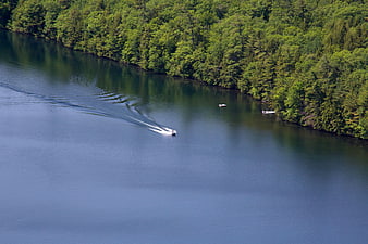 Aerial View of Speedboat on Lake with Forest Shoreline
