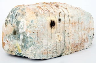 Moldy Bread Loaf Isolated On White Background