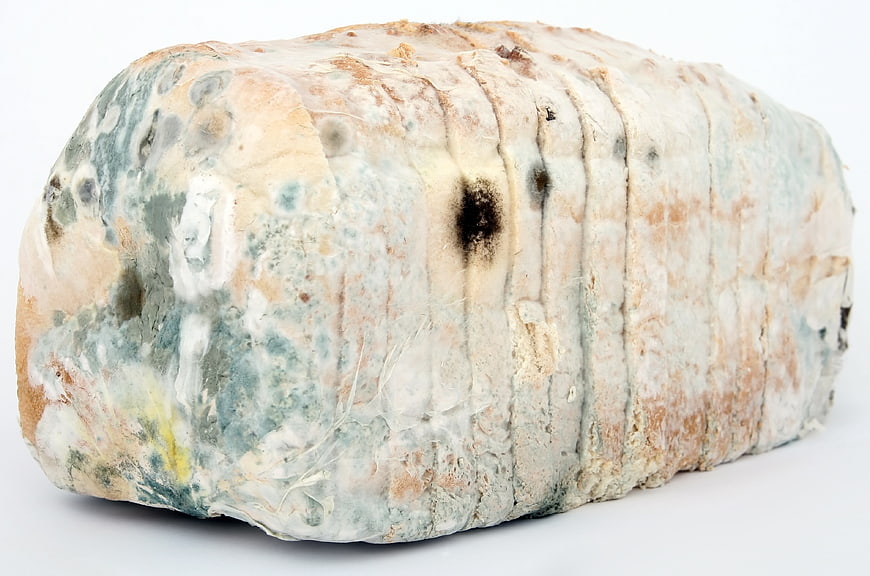 Moldy Bread Loaf Isolated On White Background
