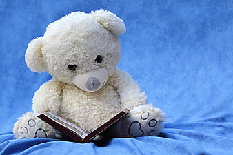 White teddy bear reading a book on blue background