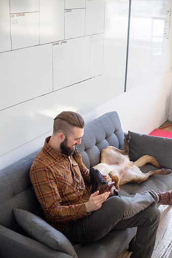 Man with beard relaxing on couch with playful dog