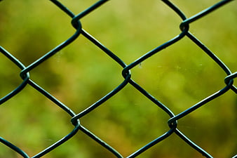 Close-up of chain-link fence with blurred green background
