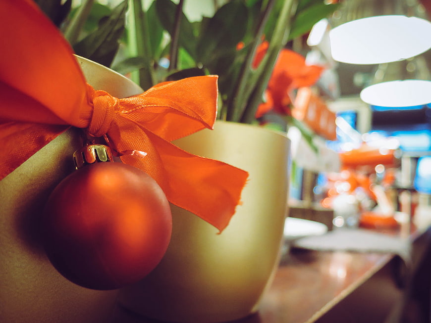 Close-up of orange Christmas ornament and ribbon on plant pot