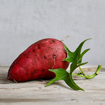 Fresh Red Sweet Potato with Green Vine on Wooden Table