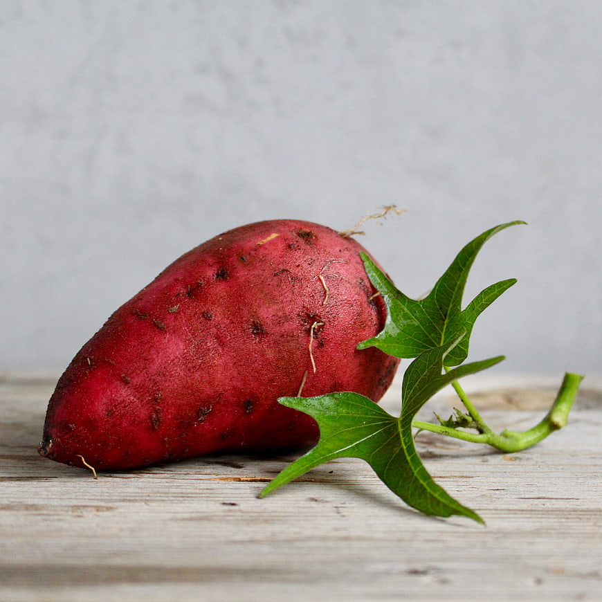 Fresh Red Sweet Potato with Green Vine on Wooden Table