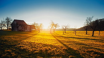 Golden Sunset Over Rural Barn and Bare Trees