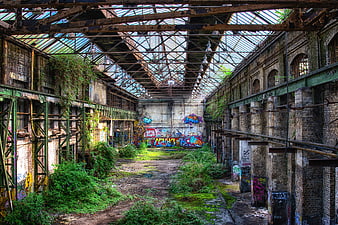 Abandoned industrial factory interior with overgrown vegetation and graffiti