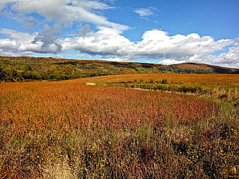 Golden autumn field with rolling hills and blue sky