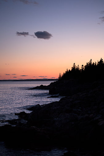 Serene Sunset Over Rocky Coastline with Silhouetted Trees