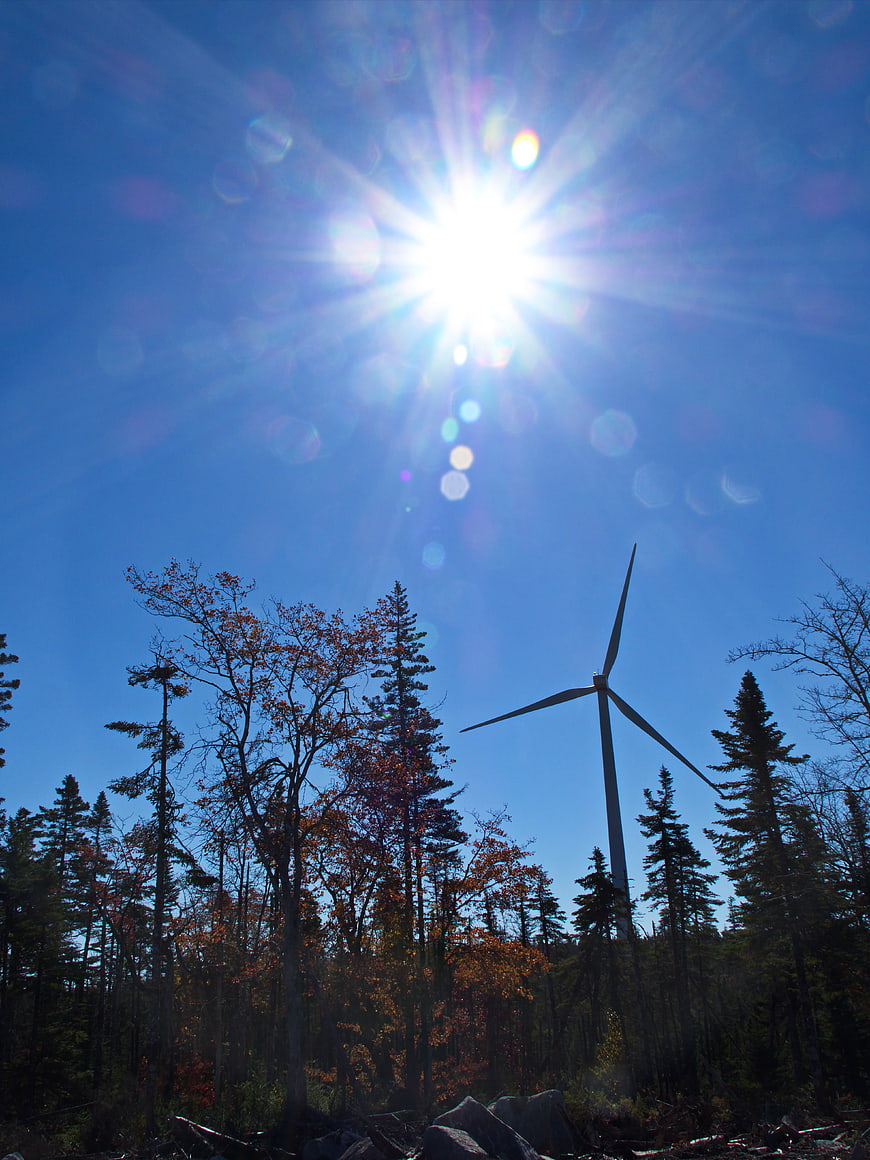 Wind Turbine Silhouette in Forest with Sun Flare