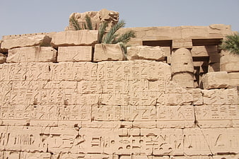 Ancient Egyptian Hieroglyphics on Sandstone Temple Wall