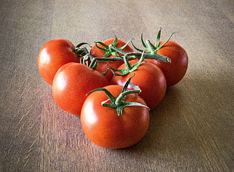 Fresh Red Tomatoes on Vine on Wooden Table