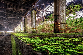 Abandoned Railway Station with Mossy Platform and Overgrown Vegetation