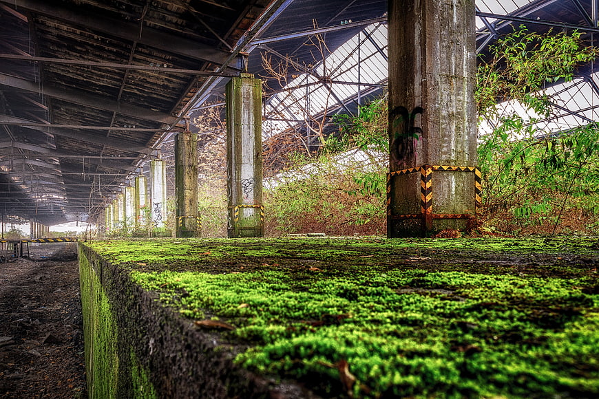 Abandoned Railway Station with Mossy Platform and Overgrown Vegetation