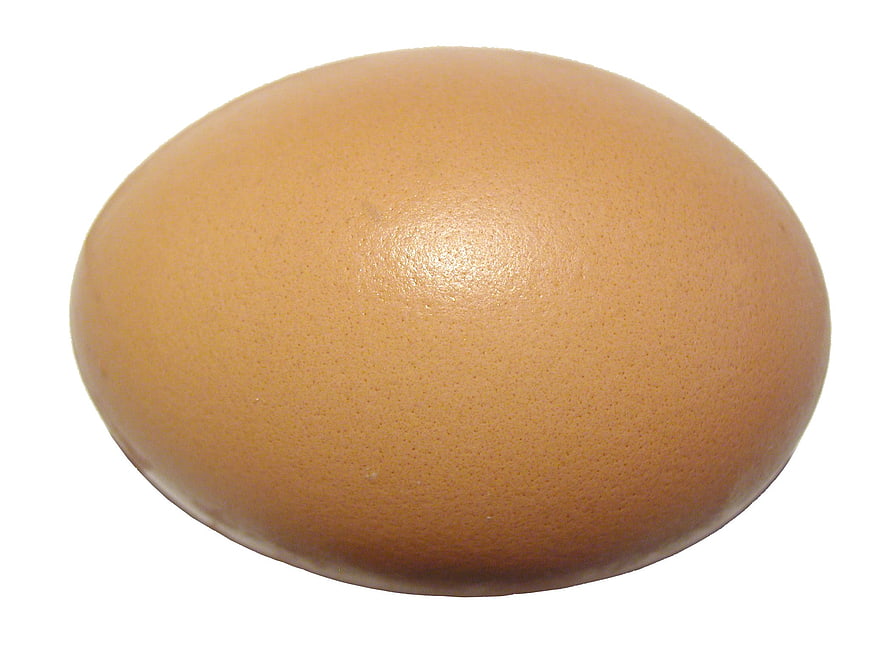 Single Brown Chicken Egg Isolated On White Background