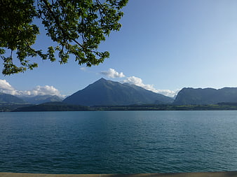 Serene Lake Thun Landscape with Mountains and Tree Branch