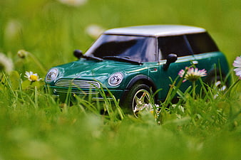 Green Mini Cooper toy car in green grass with daisies