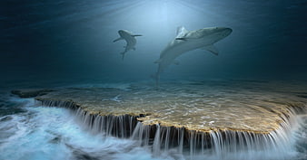 Surreal underwater sharks swimming over a waterfall