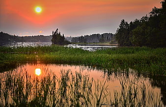 Vibrant Sunset Over Lake With Reeds and Reflection