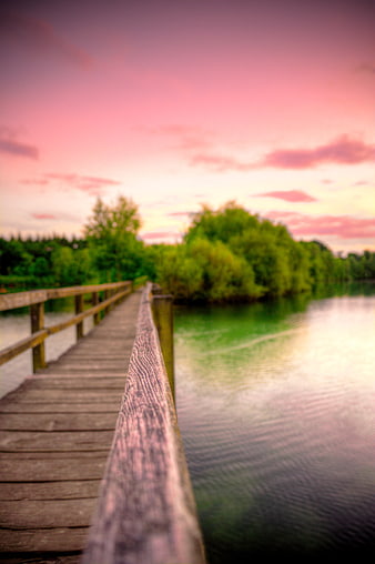 Wooden Pier on Lake at Pink Sunset