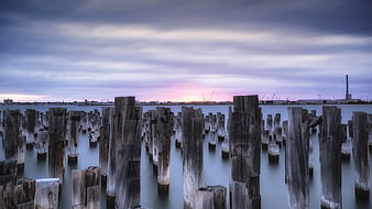Weathered wooden pilings in calm water at twilight